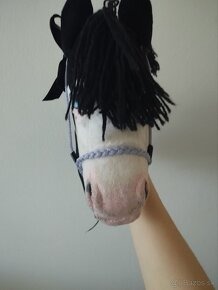 Hobby horse - 6