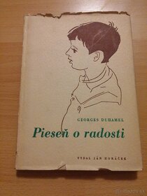 Slovenská a svetová klasika (Dickens, Balzac, Stendhal,...) - 6