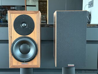 Dynaudio Heritage Special - 6