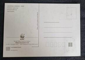 2003 WWF divoke macky sada carte maxima, zmiesana frankatura - 6