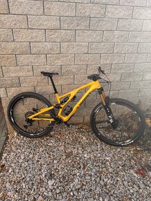 Specialized Sworks stumpjumper 2024 - 6