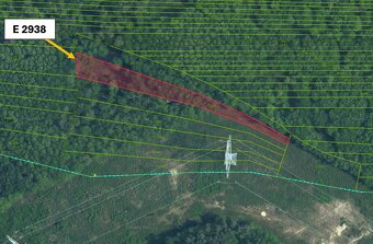 Lozorno – 4.293 m2 LESY a PÔDA - Na predaj - 6