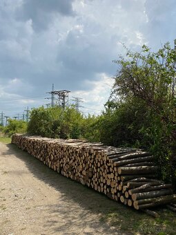 Ponúkam na predaj VRECOVANE palivové drevo BUK -SUCHÉ-PILINY - 6