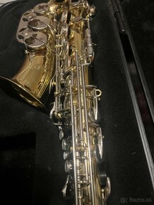 Alt Selmer AS 300 - 6