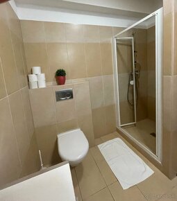 Veľký apartmán v Hrabove pri Malinô Brde - 6