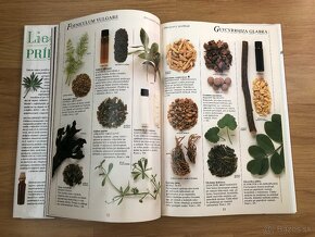 Liečivé rastliny - 6