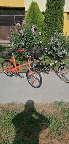 Bicykel skladačka Eska - 6