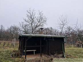 Pekná, udržiavaná vinica s chatkou za Kozárovcami - 6