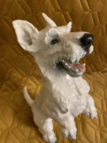 Porcelanovy pes Rosenthal skotsky terier - 6