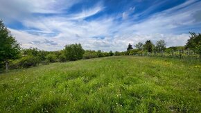 Investičný pozemok 2953 m2, Dolné Štitáre, Nitra - 6