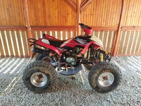 ATV Bashan 250 - 6