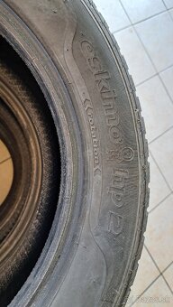 Sava Eskimo HP2 205/55 R16 91H - 6