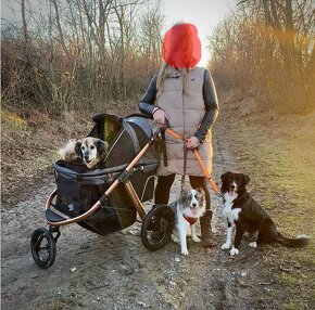 Kočík pre psa do 23Kg PetBuggy - 6