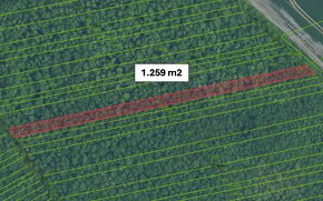 Vysoká pri Morave – 1.259 m2 LES podiel 1/1 – Predaj - 6