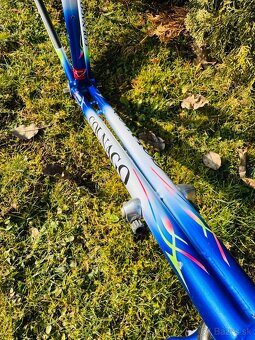 Colnago Master Bititan Art Decor - 6