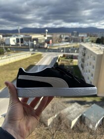 Puma - 6