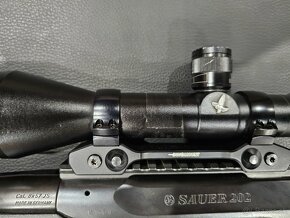 SAUER - 6