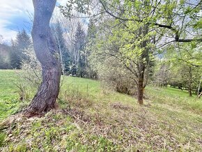 Predaj krásneho pozemku  v jedinečnej prírode v obci Korňa - 6