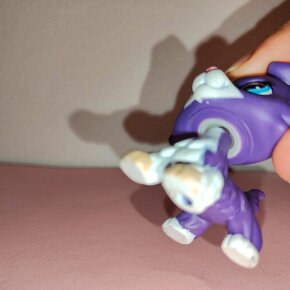 Lps littlest pet shop petshop original colie kólia #1676 167 - 6