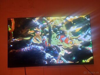 LG OLED 65E9PLA - 6