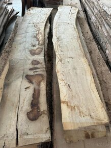 Vysušené jaseňové dosky, jaseň, jaseňové drevo - 6