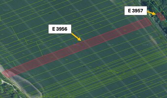 Vysoká pri Morave - 6.443 m2 ORNÁ PÔDA a LES 1/1 - 6