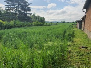 Bátka – 1730 m2 STAVEBNÝ POZEMOK na menší domček/chatku - 6