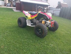 Can am dsx 90 - 6