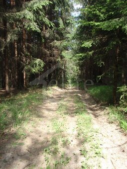 Predaj, Pozemok/Lesná pôda (RK01021164) - 6