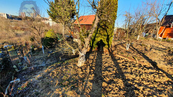 PREDAJ záhrada s chatkou, Trenčín, Záhr. osada Pod Sekerou - 6