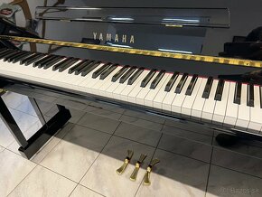 Yamaha C113T se zárukou, doprava možná. - 6