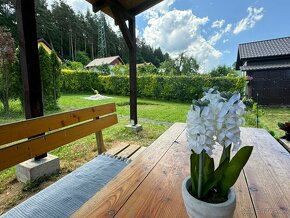 POZEMOK SO ZÁHRADNOU CHATKOU NA PREDAJ, PRIEVIDZA - 6