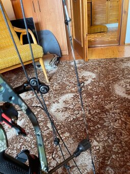 Hoyt nitrux - 6