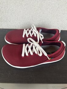 Be Lenka DASH - Wine red velk. 39 - 6