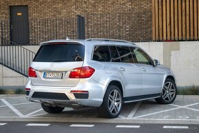 Mercedes-Benz GL 350 CDI BlueTEC 4MATIC SK auto - 6