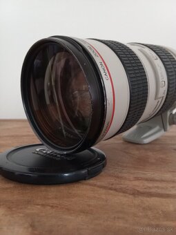 Canon 70-200 f2.8 IS - 6