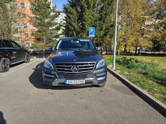 ML350 CDI W166 - 6