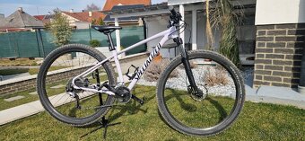 Specialized Rockhopper comp 29' - 6