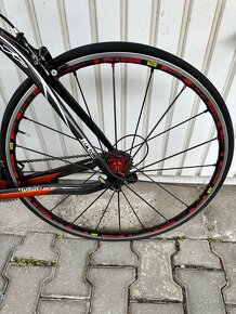 Wilier - 6