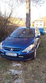 Peugeot 307 SW 2.0 HDI - 6