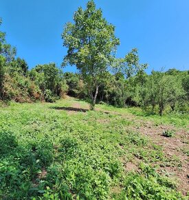 Rekreačný pozemok Jablonov nad Turňou (386m2) - 6