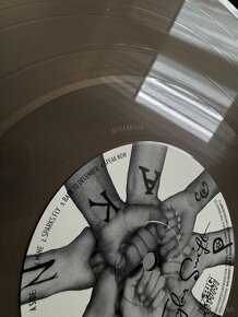 Taylor Swift Speak Now RSD exclusive - 6