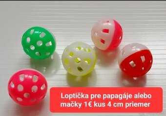 Papagaj, pes,mačka,škrečok - 6