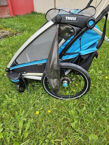 Thule Carriot sport 2 - 6