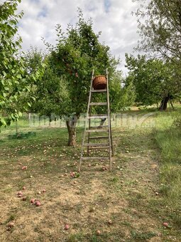 Záhrada s vinicou na predaj. - 6