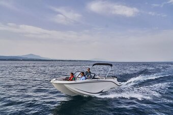 BAYLINER M19 + MERCURY F 115 EFI ELPT - 6