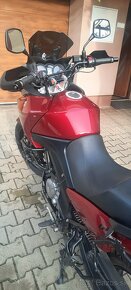 Suzuki DL650 V-Strom - 6