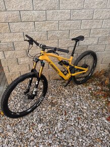 Specialized Sworks stumpjumper 2024 - 6