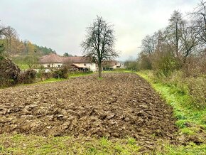 RODINNÝ0 DOM S ROZSIAHLYM POZEMKOM V OBCI ŽITNÁ-RADIŠA - 6