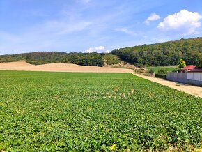 Trenčianske Bohuslavice - 5.850m2 REKREAČNÝ pozemok – PREDAJ - 6